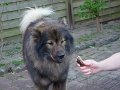 rudel (2)